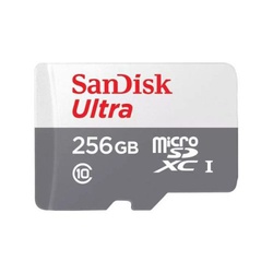 SanDisk MicroSD CLASS 10 100MBPS 256GB without Adapter - SDSQUNR-256G-GN3MN